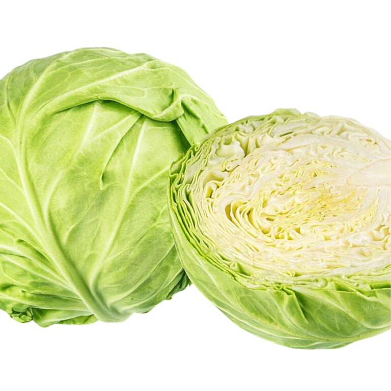 cabbage