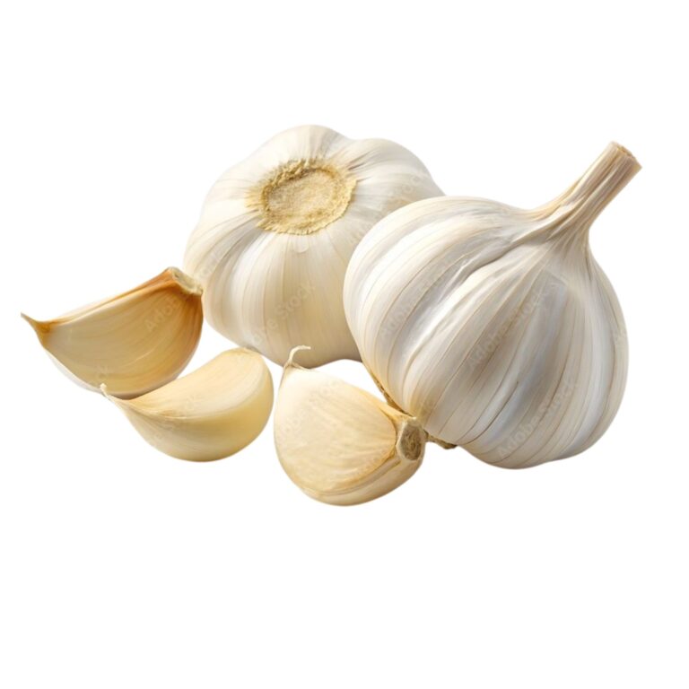 Garlic