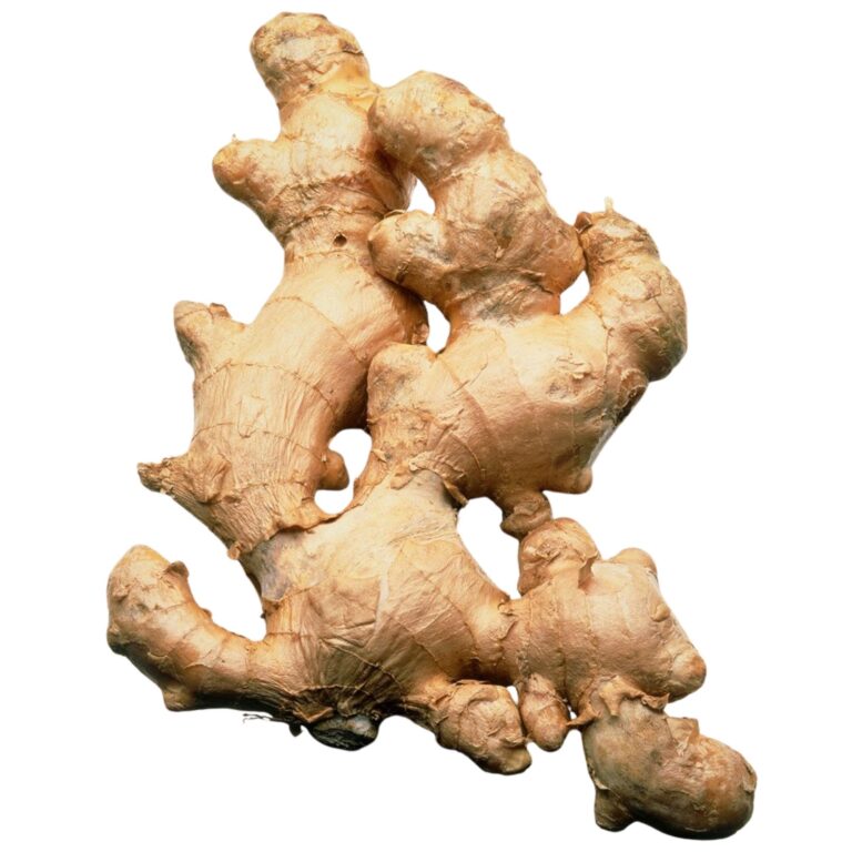 Ginger
